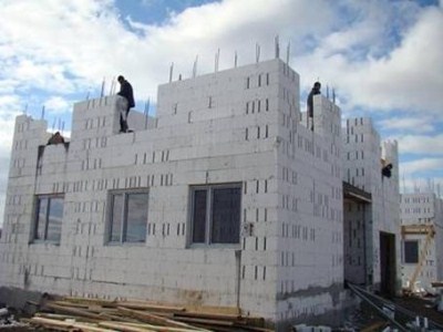 Коряга для дачи